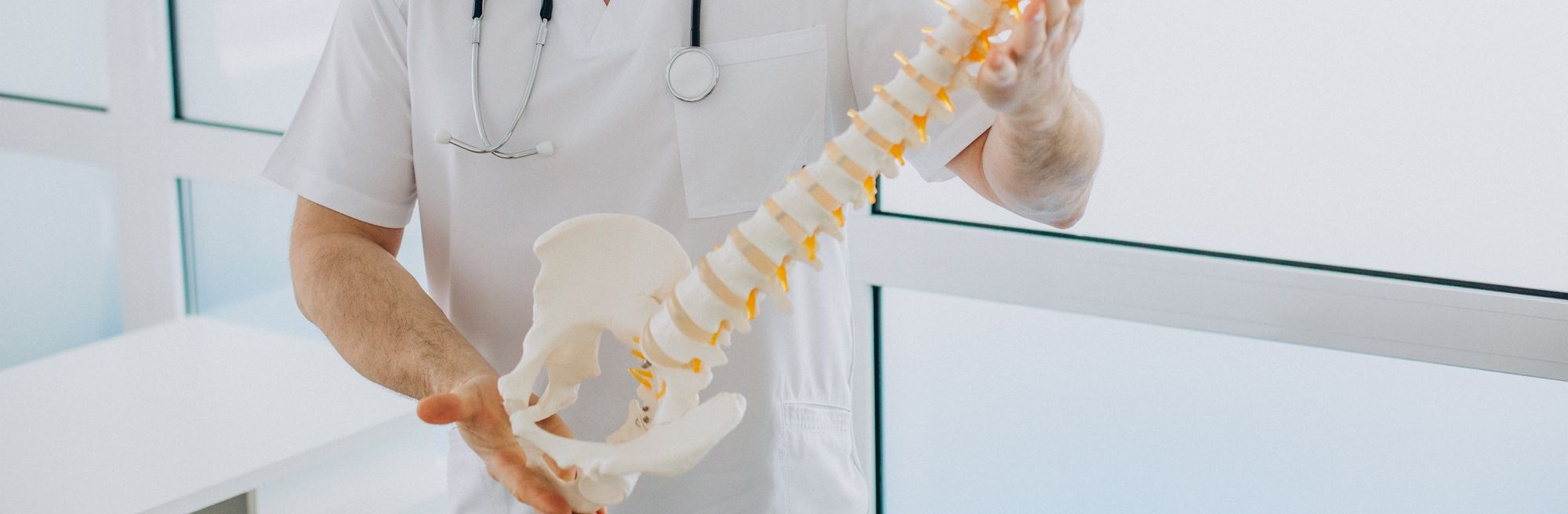 Fizioterapeut u rukama drži model kralježnice s intervertebralnim diskovima