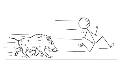 Čovjek trči od životinje koja ga napada pri čemu koristi oba mišića iliopsoasa. 